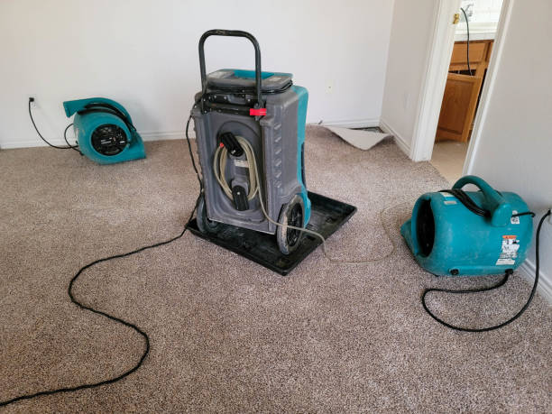 Best Residential water damage restoration  in Fox Point, WI