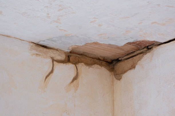 Best Sewage cleanup and water damage restoration  in Fox Point, WI