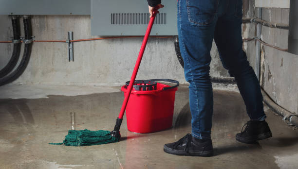 Best Mold removal after water damage  in Fox Point, WI