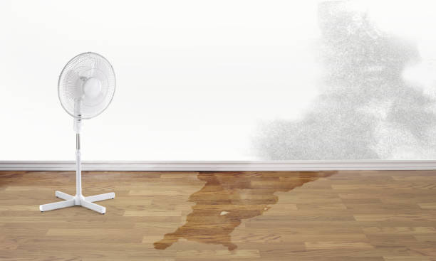Best Water damage cleanup near me  in Fox Point, WI