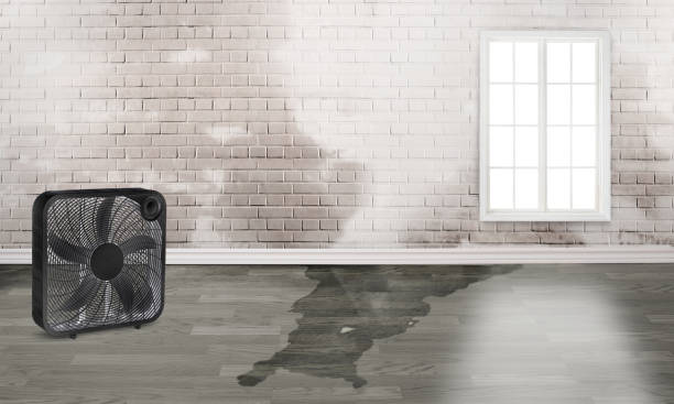  Fox Point, WI Water damage restoration Pros