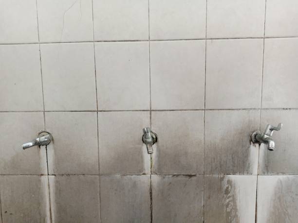 Best Flooded house restoration  in Fox Point, WI