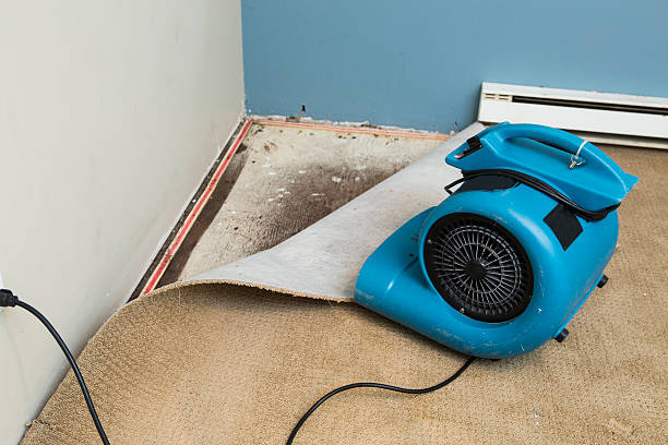 Reliable WI Water damage restoration Solutions